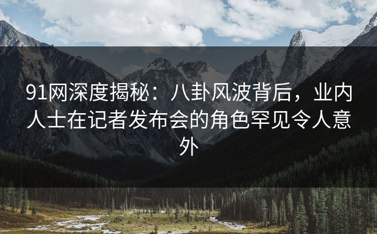 91网深度揭秘：八卦风波背后，业内人士在记者发布会的角色罕见令人意外
