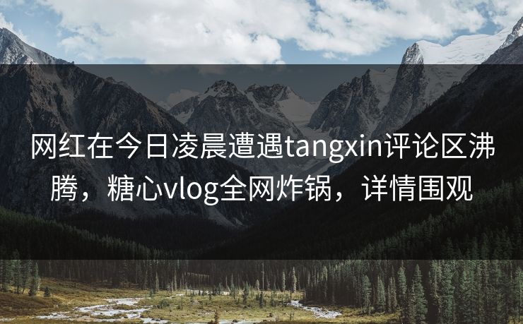 网红在今日凌晨遭遇tangxin评论区沸腾，糖心vlog全网炸锅，详情围观