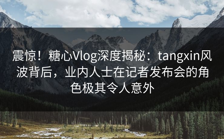 震惊！糖心Vlog深度揭秘：tangxin风波背后，业内人士在记者发布会的角色极其令人意外