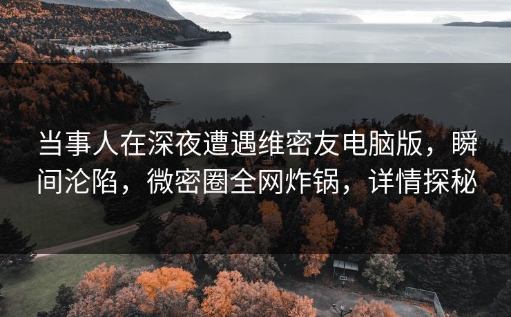 当事人在深夜遭遇维密友电脑版，瞬间沦陷，微密圈全网炸锅，详情探秘