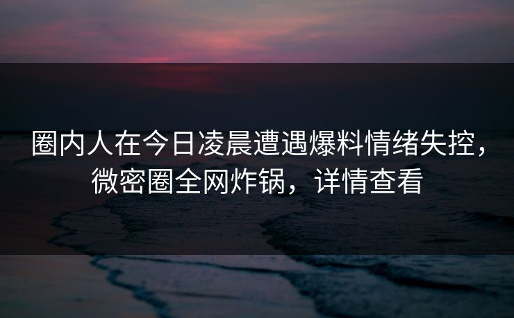 圈内人在今日凌晨遭遇爆料情绪失控，微密圈全网炸锅，详情查看