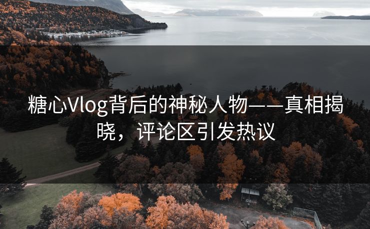 糖心Vlog背后的神秘人物——真相揭晓，评论区引发热议