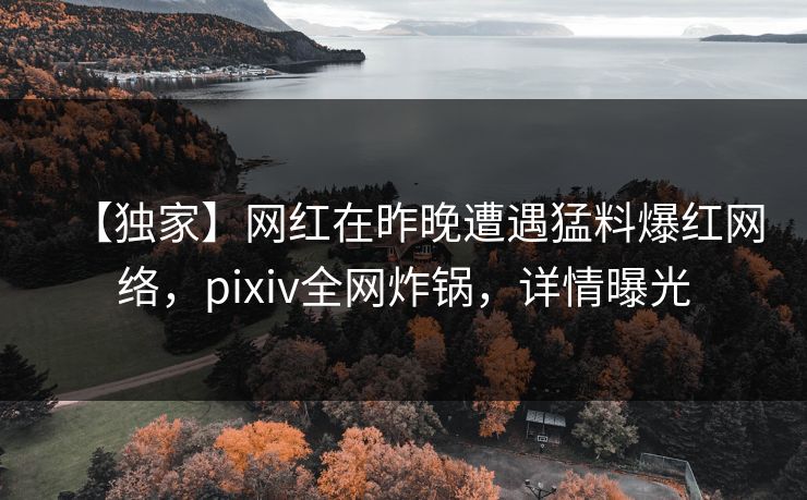 【独家】网红在昨晚遭遇猛料爆红网络，pixiv全网炸锅，详情曝光