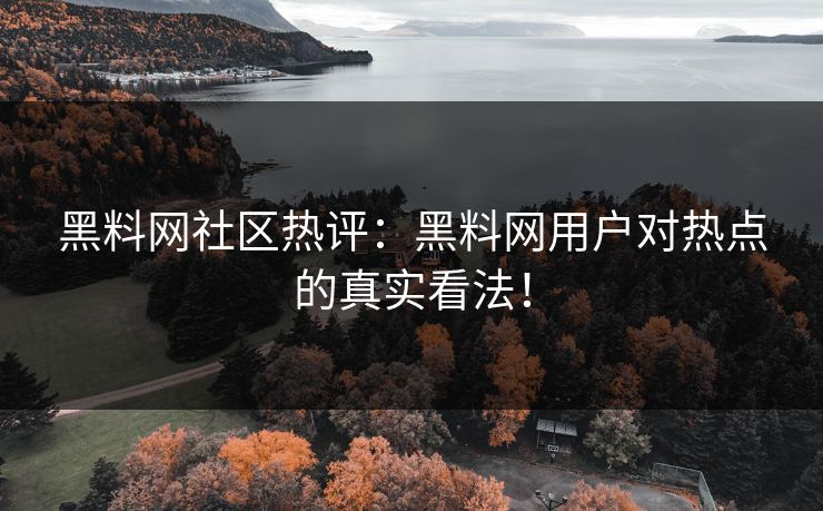 黑料网社区热评：黑料网用户对热点的真实看法！