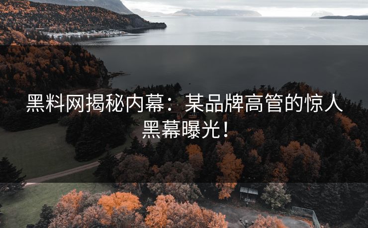 黑料网揭秘内幕：某品牌高管的惊人黑幕曝光！