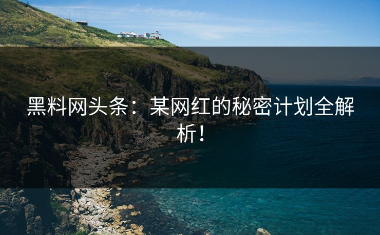 黑料网头条：某网红的秘密计划全解析！
