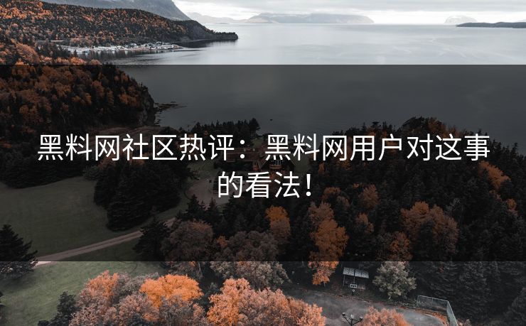 黑料网社区热评：黑料网用户对这事的看法！