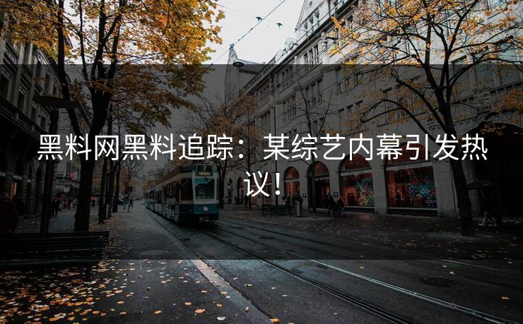 黑料网黑料追踪：某综艺内幕引发热议！