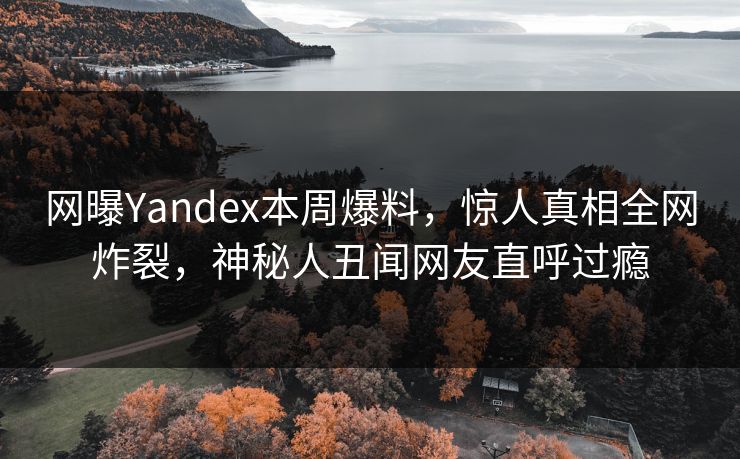 网曝Yandex本周爆料，惊人真相全网炸裂，神秘人丑闻网友直呼过瘾