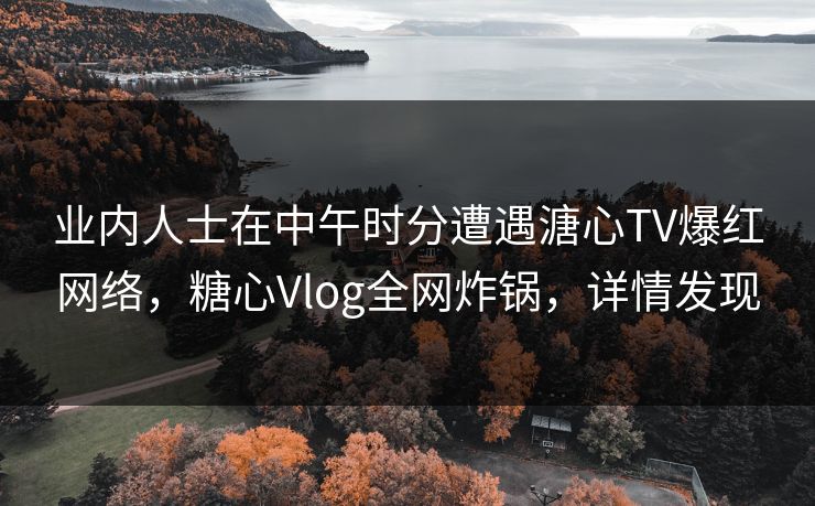 业内人士在中午时分遭遇溏心TV爆红网络，糖心Vlog全网炸锅，详情发现