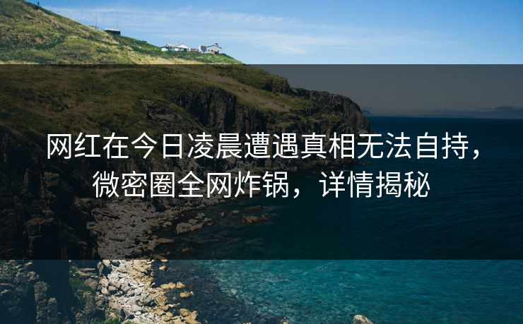 网红在今日凌晨遭遇真相无法自持，微密圈全网炸锅，详情揭秘