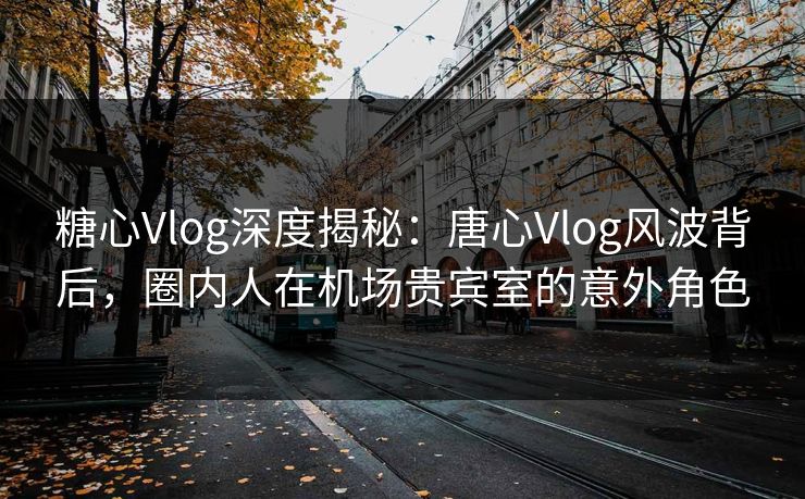 糖心Vlog深度揭秘：唐心Vlog风波背后，圈内人在机场贵宾室的意外角色